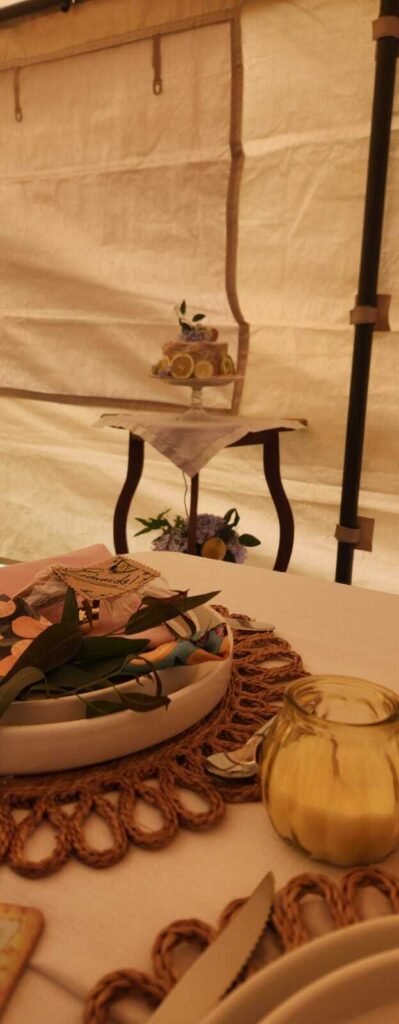 Decoración-y-Montaje-de-Mesas-para-Reuniones-Familiares-y-Celebraciones-de-Adultos-Mayores-en-Moreli